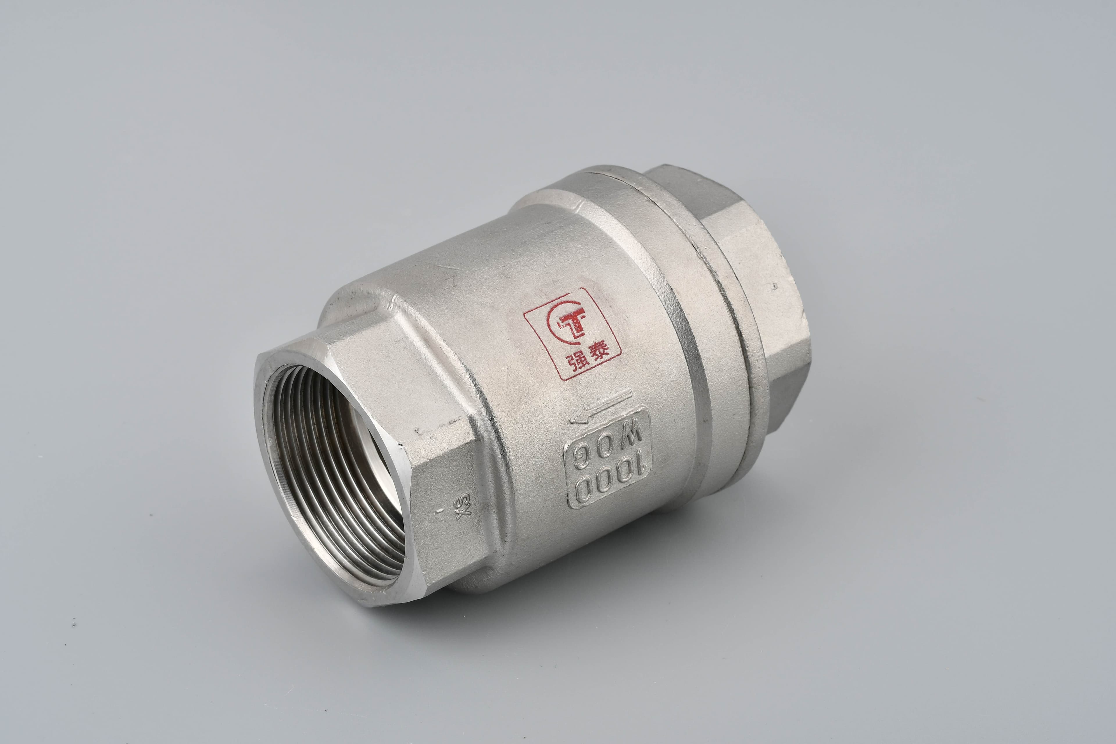 Vertical Check Valve